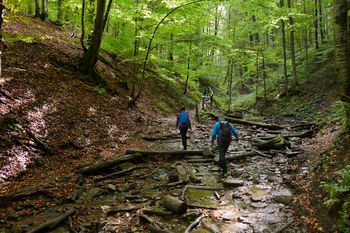 Służby apelują do turystów. Chodzi o majówkową aktywność