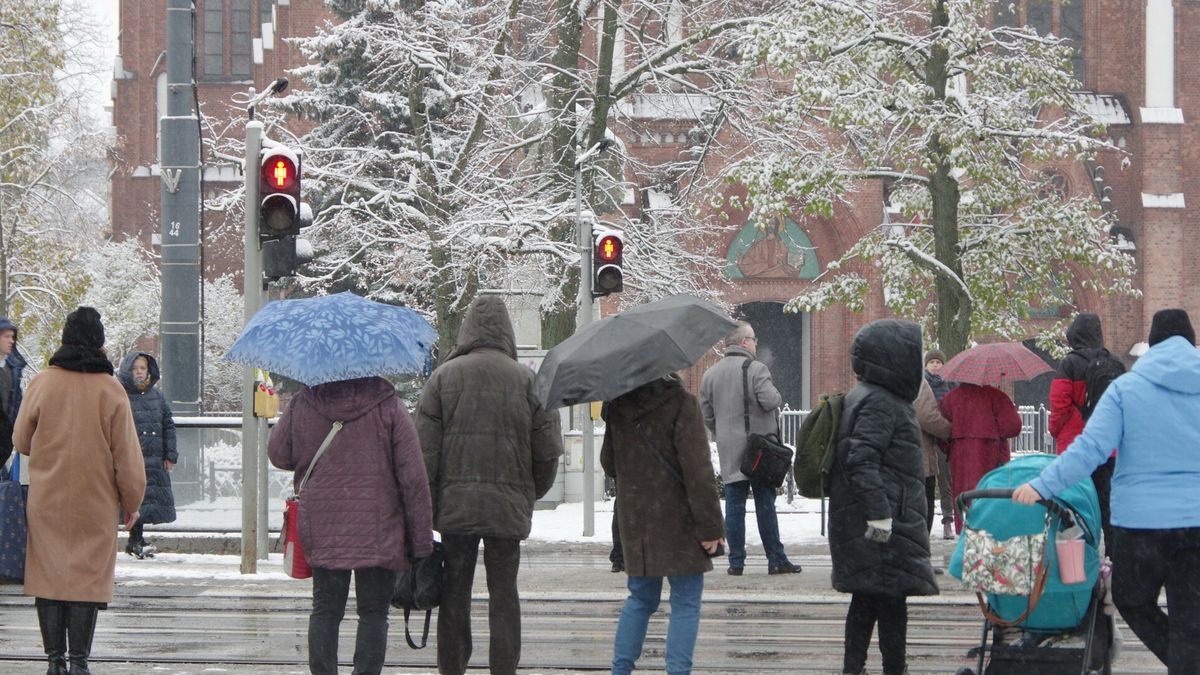 Raport dla ZUS: ulgi składkowe przyczyniają się do spadku zatrud