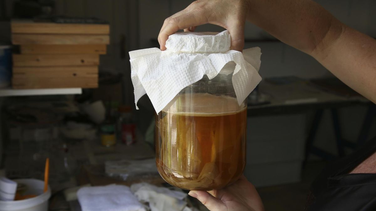 Kombucha moze też szkodzić