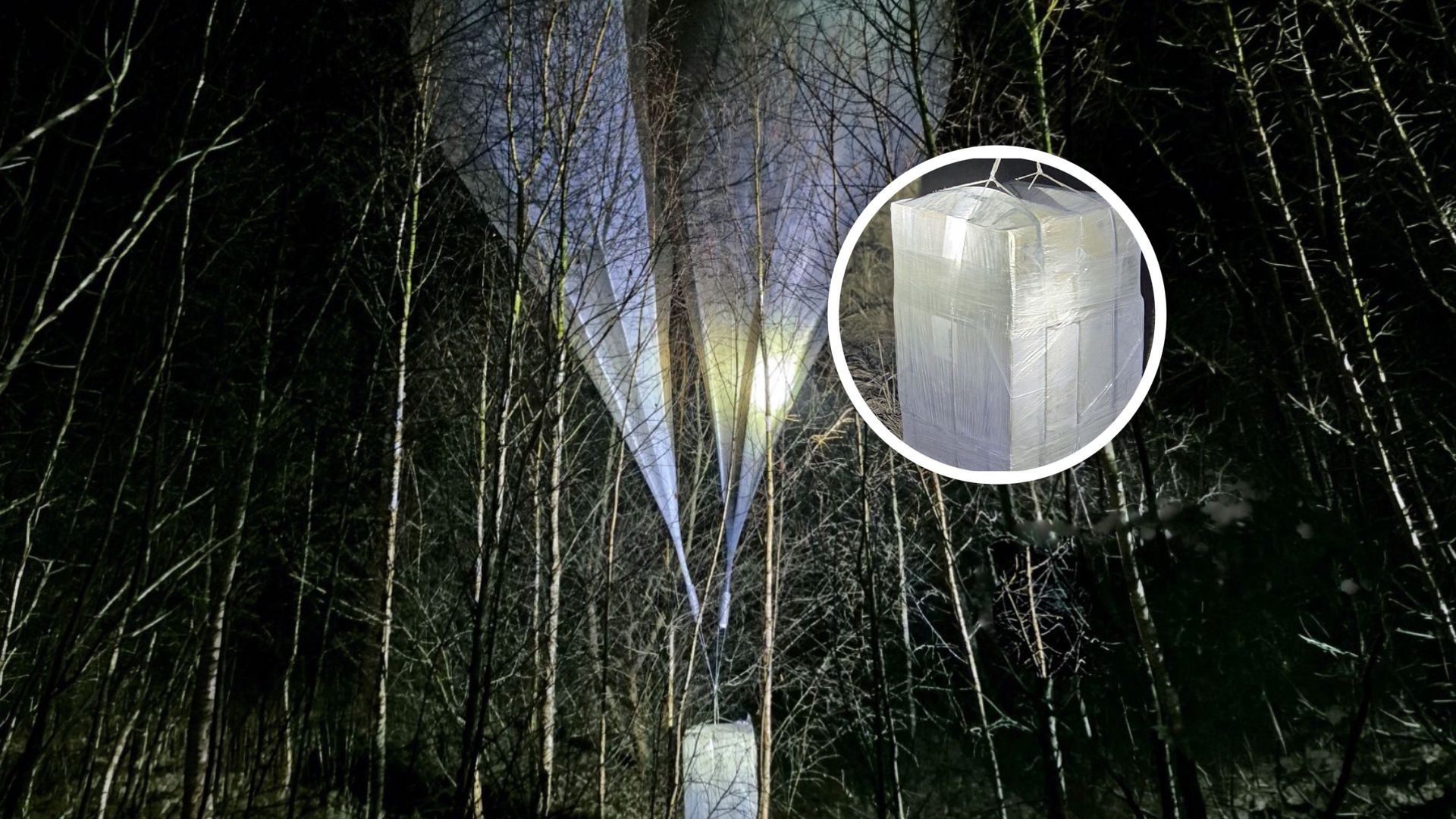 Przemyt na wielką skalę z Białorusi. SG ujawnia, co było w kartonach