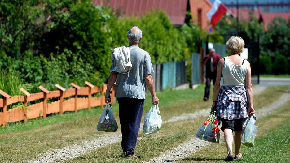 Młodszych działkowców przybywa z roku na rok