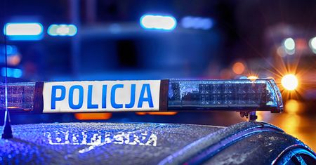 Rozpędzony jeleń wpadł do jadącego auta. Dwie osoby w szpitalu