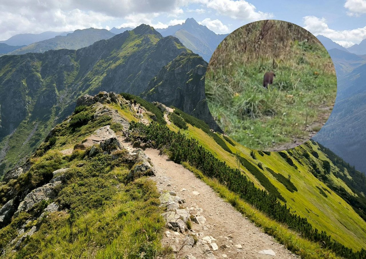 "Ludzie, opamiętajcie się". Tak zachowali się turyści w Tatrach