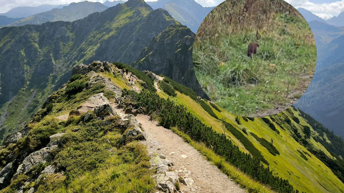 "Ludzie, opamiętajcie się". Tak zachowali się turyści w Tatrach