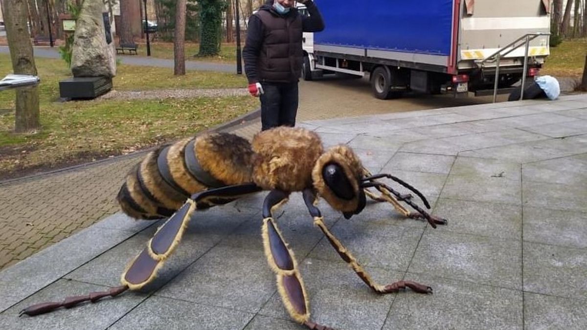  Na szlaku będzie kilkadziesiąt figur m.in. ssaków, ptaków i owadów. 