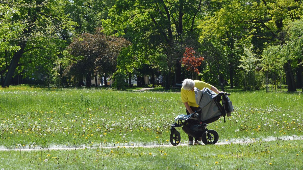 Czy dziadkowie otrzymaliby zasiłek na opiekę nad wnukami?