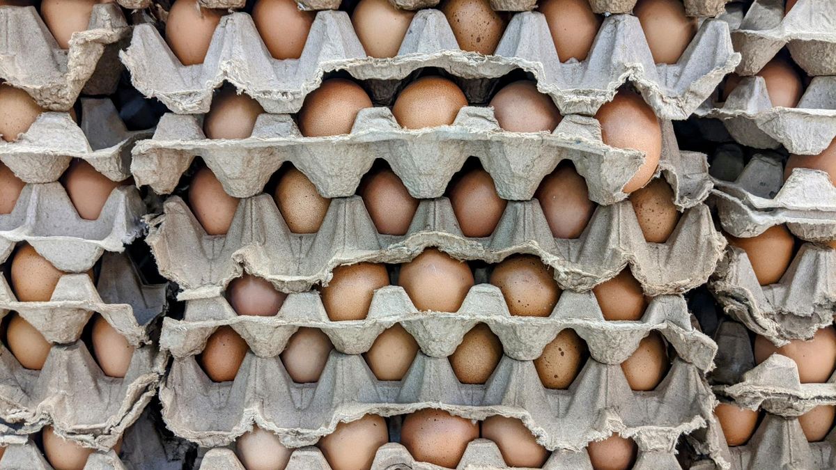 Sieć ALDI zapowiada całkowite wycofanie jaj "trójek"