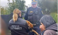 Umierała na podwórku tuż obok domu właścicieli. Niestety ratownicy jej nie odratowali