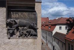 "Żydowska maciora" zostaje. Sąd oddalił skargę