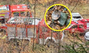 Sensacyjne odkrycie w lesie. Natychmiast wezwał służby