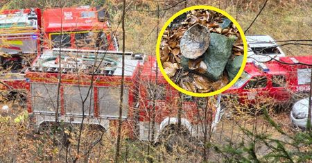 Sensacyjne odkrycie w lesie. Natychmiast wezwał służby