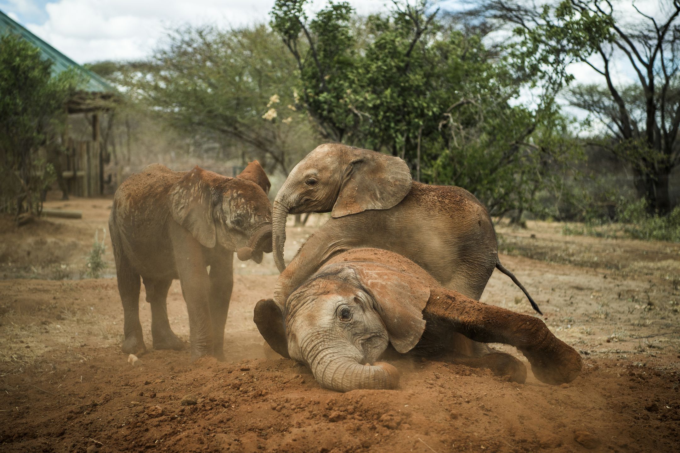 World Press Photo 2018 – znamy nazwiska nominowanych fotografów 86
