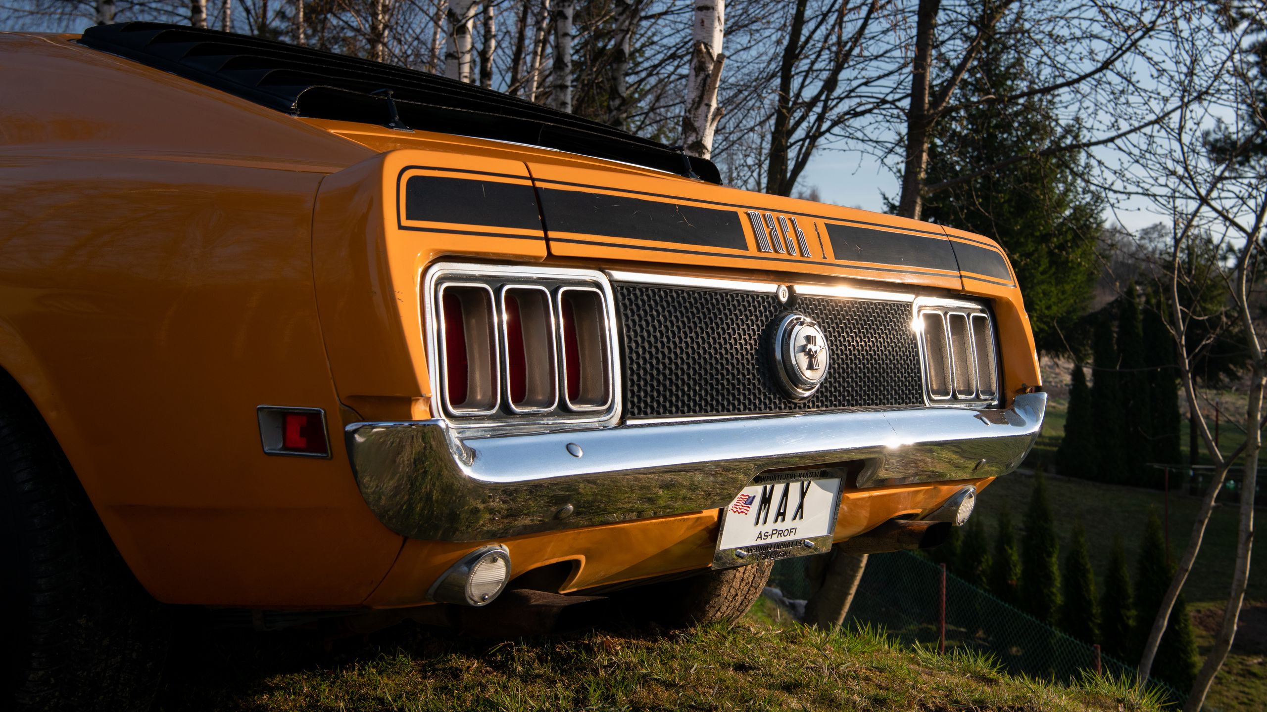 Ford Mustang Mach 1 vs. Mustang Mach 1 428 Cobra Jet