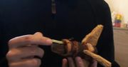 Rakieta z boczku! [wideo]