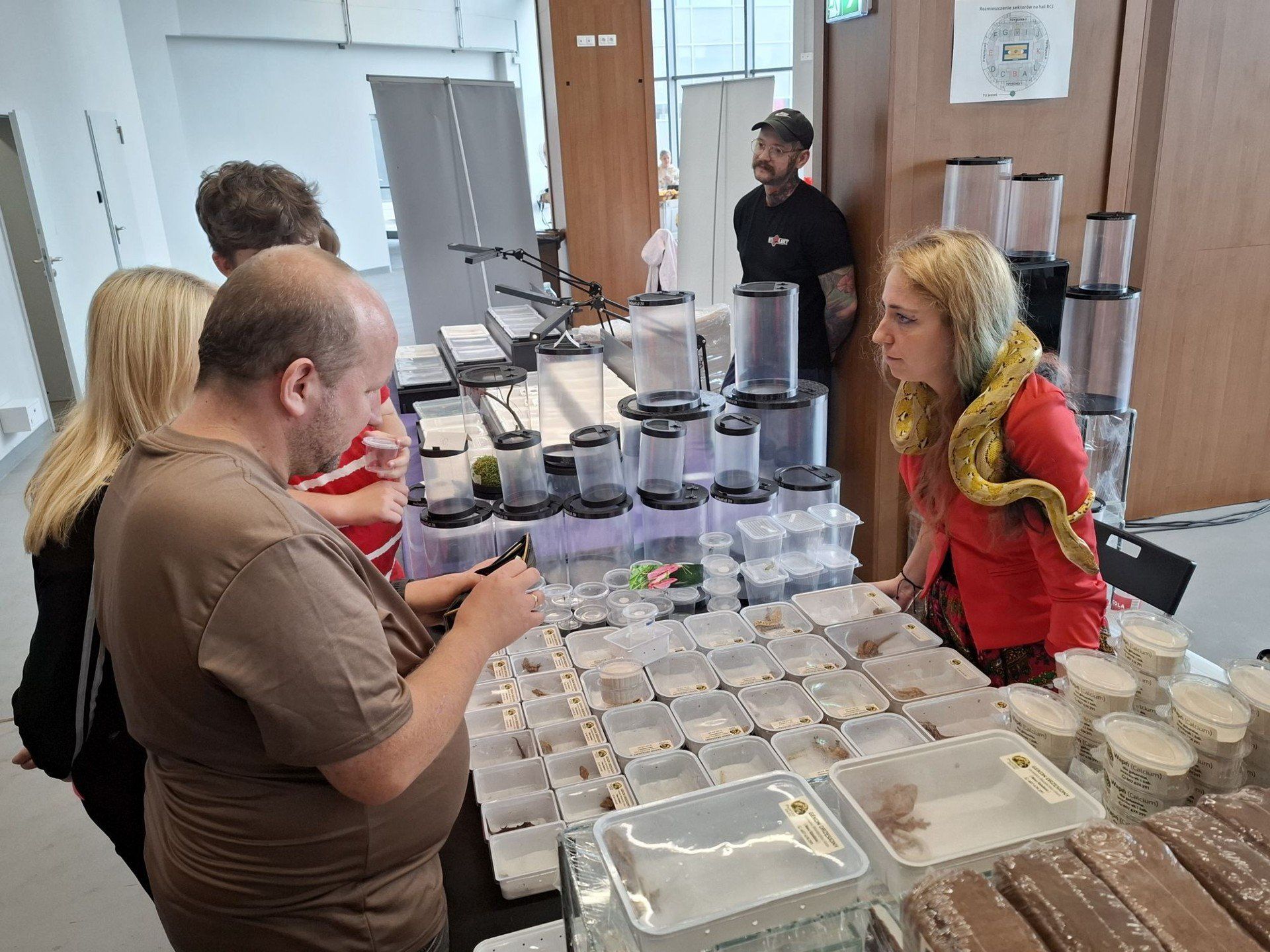 Drugi dzień Dragon Expo w Radomiu przyciągnął wielu mieszkańców miasta. 