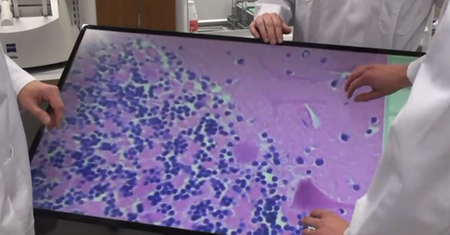 Gadżet dla mikrobiologów? [wideo]
