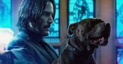 "John Wick 5": Lionsgate zapowiedziało dwie części filmu z Keanu Reevesem