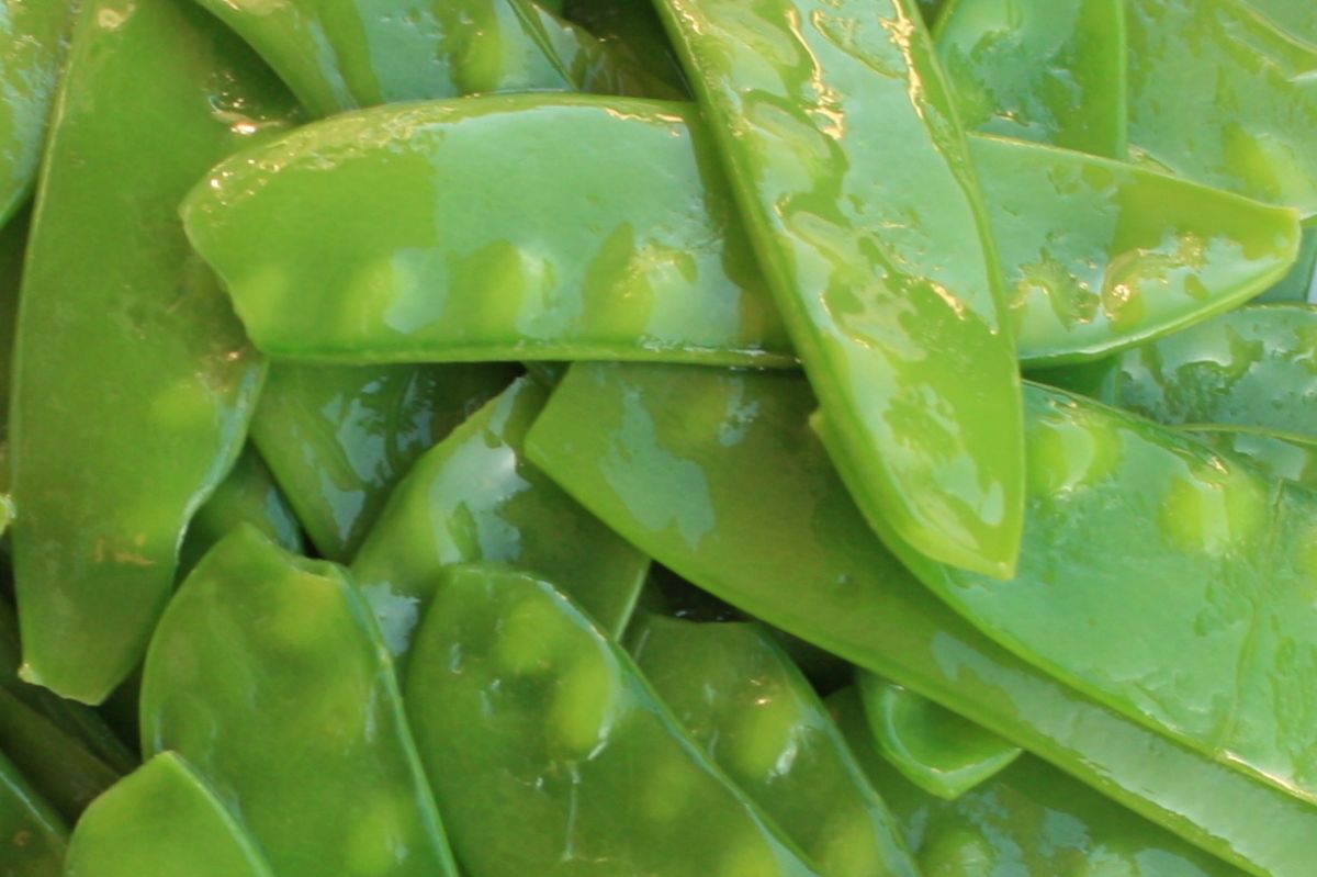 Sweet summer crunch: The health marvels of sugar snap peas