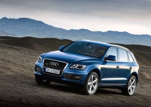 Audi Q5 & Off Raod 2010