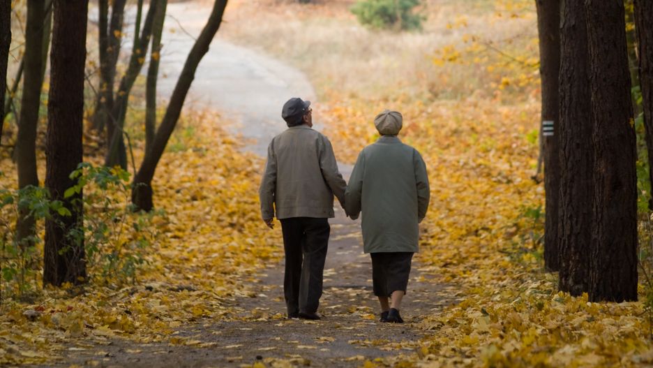 SONY DSC
na emeryturze, seniorzy, para, park, senior, sezon, babcia, dziadek, emeryt, rekreacja, relaks, razem, spokojny, żona, stary