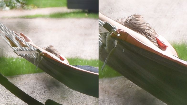 Maciej Musiał i relaks pod magnolią