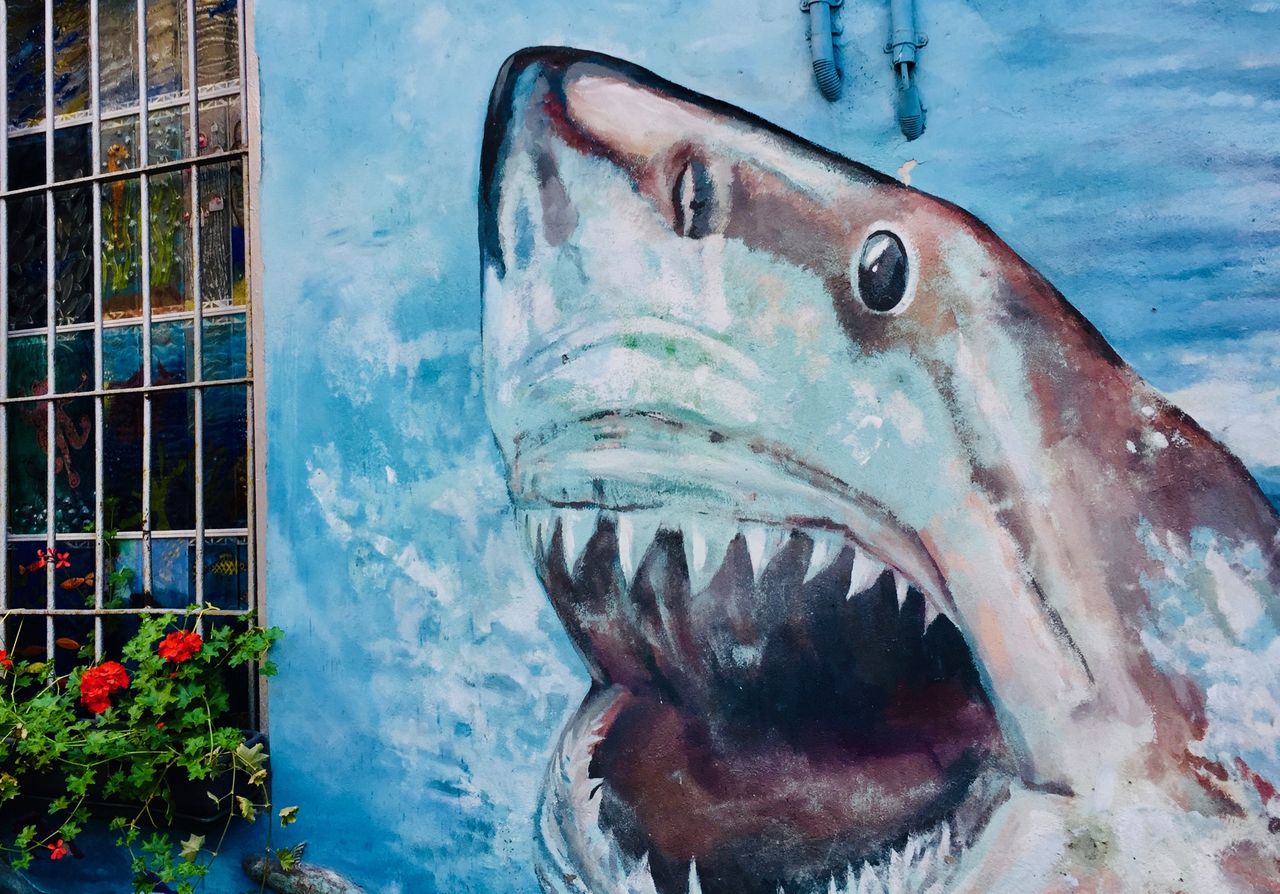 Wrocław Nadodrze. Podwórko, które bombarduje sztuką