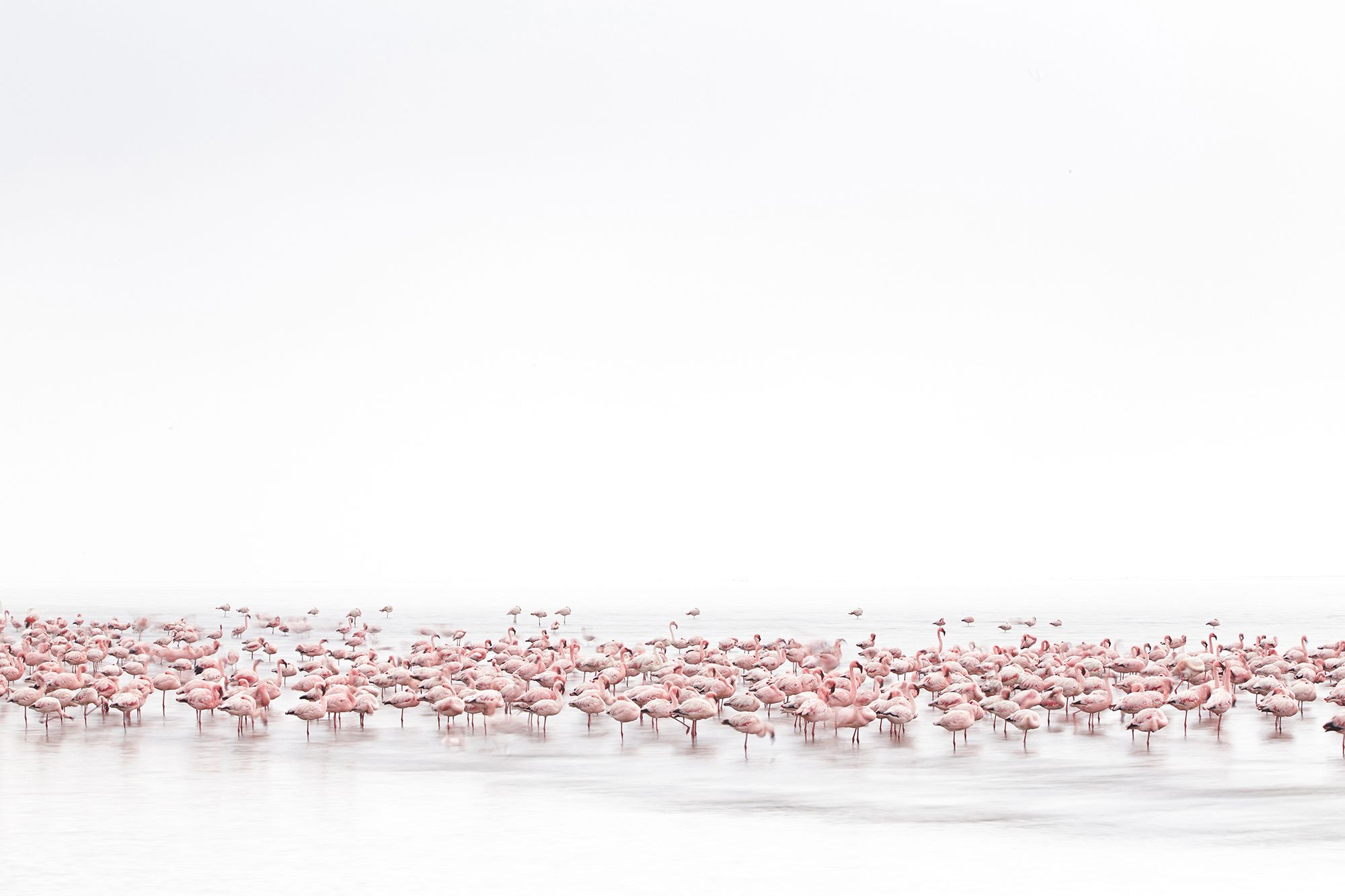 Najlepsze zdjęcia z kategorii otwartej konkursu Sony World Photography Awards 2017 1