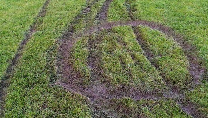 Głogów. Zatrzymano wandali. Nastolatkowie odpracują swoją głupotę