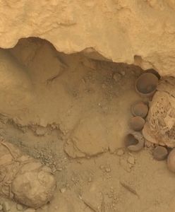 Mumie dzieci złożonych w ofierze. Przerażające odkrycie w Peru