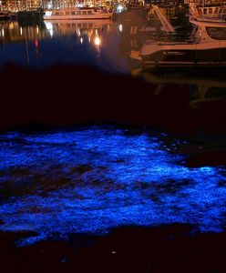 Jak świecący plankton może pomagać w wykrywaniu okrętów podwodnych