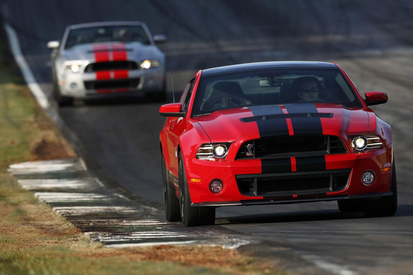 Shelby GT500 2013