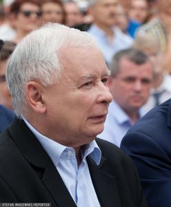 Koziński: "PiS, Nowy Ład i ucieczka do przodu. Czy te elementy pasują do siebie?" [OPINIA]