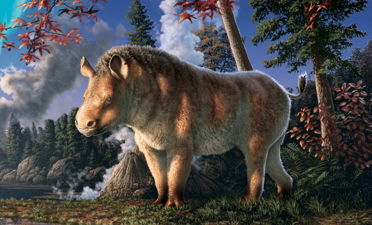 Odkrycie w Arktyce. Skamieniały nosorożec podważa dotychczasowe teorie