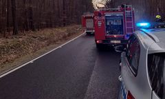 Jaguar stanął w ogniu. Żywcem spłonęły dwie młode osoby