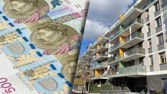 Kataster? Jest dużo zalet. "Pozwoli weryfikować legalność źródła majątku" [OPINIA]