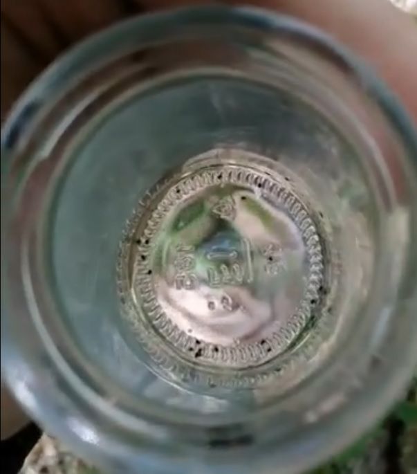 Po 30 minutach miał w słoiku 20 kleszczy