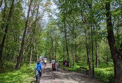 Gdańsk. Zniknie dziura wstydu w Brzeźnie