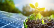 Polska energetyka z historycznym wsparciem. BGK zakontraktował 67,2 mld zł – pełną pulę Funduszu Wsparcia Energetyki