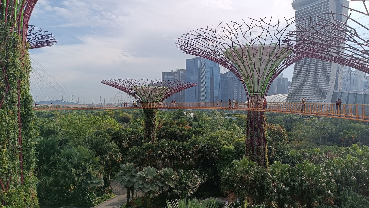 The famous trees in Gardens by the Bay are impressive.