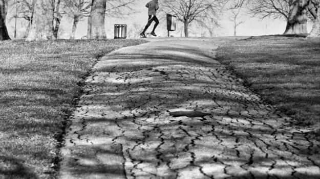 Frymografia: Na przekór monotonii 1