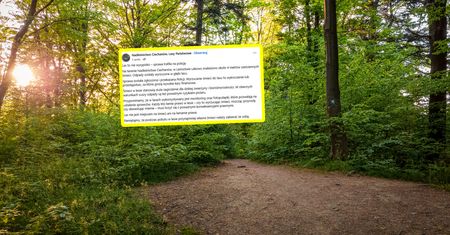 Miarka się przebrała. Leśnicy donieśli na policję