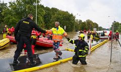 "Sytuacja jest poważna". Czeski dziennikarz o walce z powodzią i "idiotycznych pomysłach"