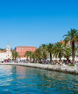 Wakacyjny raj Polaków ma problem. Chorwacka plaża śmierdzi odchodami