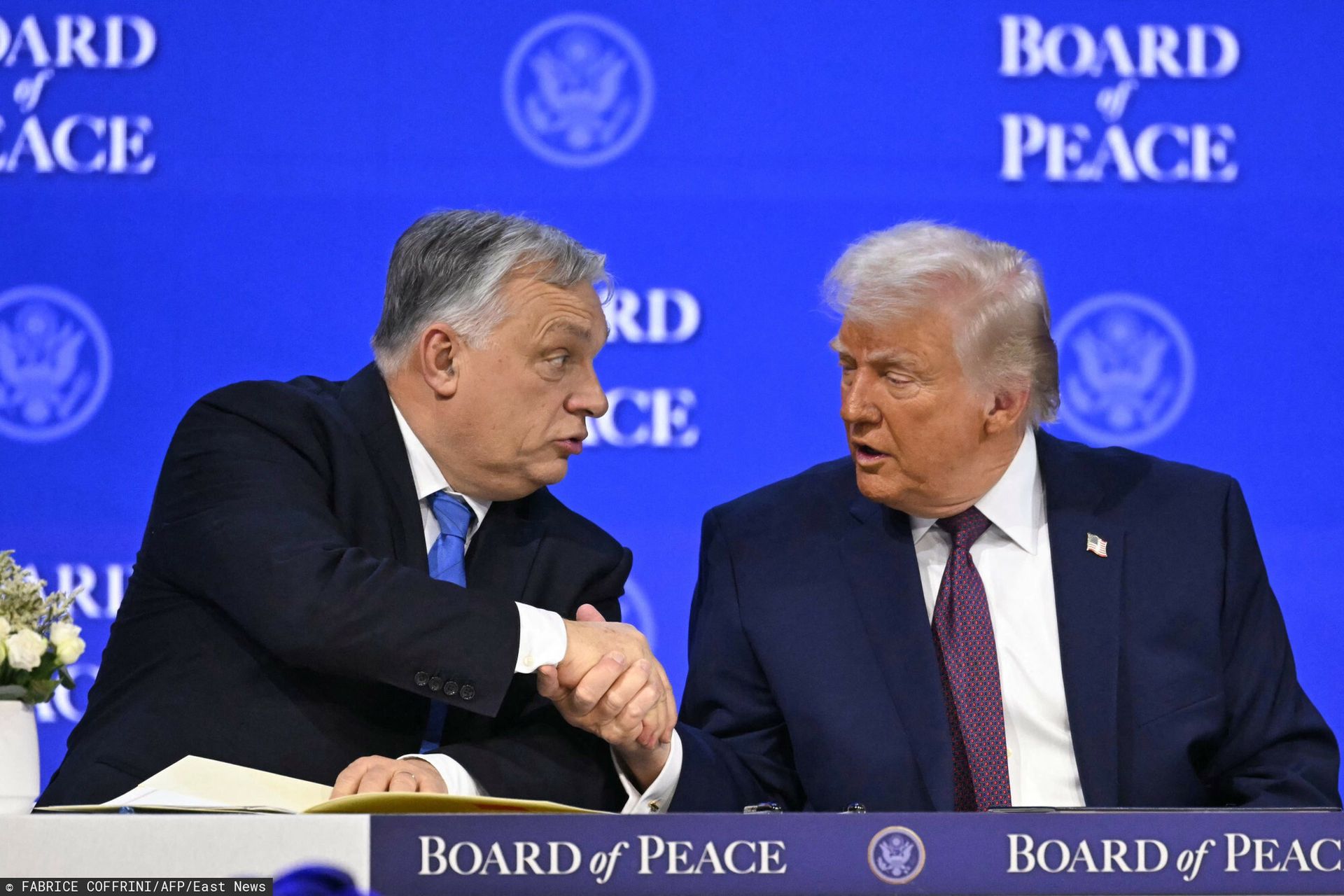 "Trump idzie na całość". Lawina komentarzy po wpisie o Orbanie