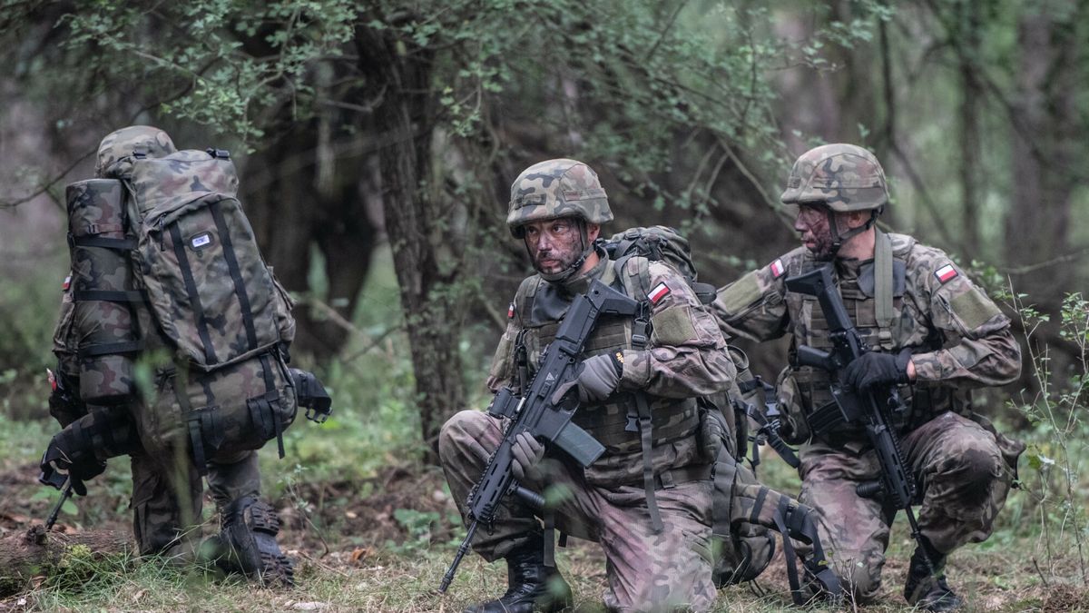 Wojska Obrony Terytorialnej podczas ćwiczeń