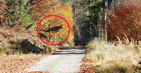 To nie fotomontaż. Niezwykły widok w Górach Sowich