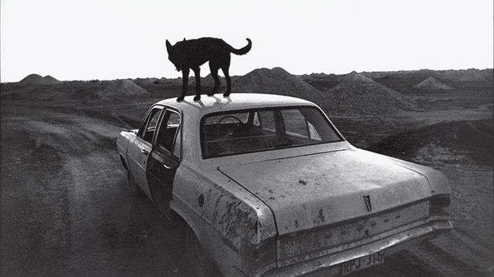 Bliższe i dalsze związki kina i fotografii 1