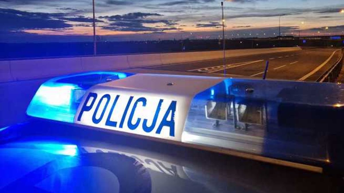 Policja rozbiła grupę przestępczą  