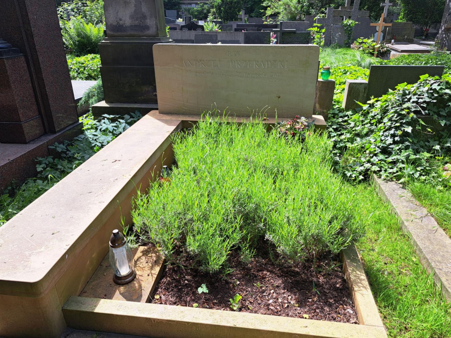 Grób Andrzeja Przeradzkiego, męża Magdy Umer