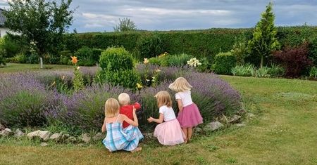 Ania, Jadzia, Olusia i Robuś czekają na nowy dom. "Rodzeństwa często nie mają szans na adopcję"